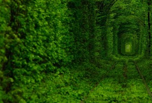 Tunnel of Love ปรเทศยูเครน