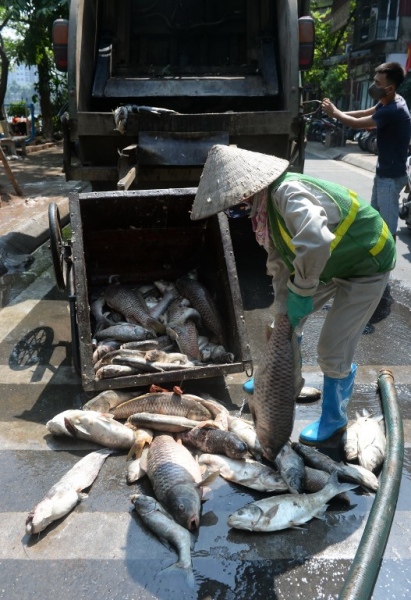 VIETNAM-ENVIRONMENT-POLLUTION-FISH-DEATH